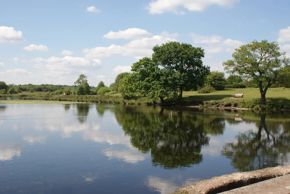 Sutton-in-Ashfield