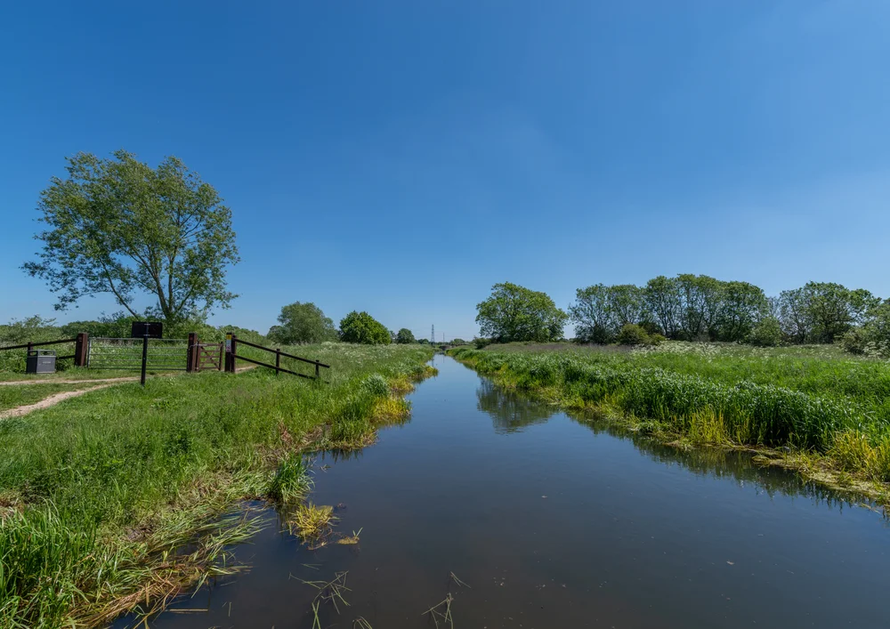Pocklington