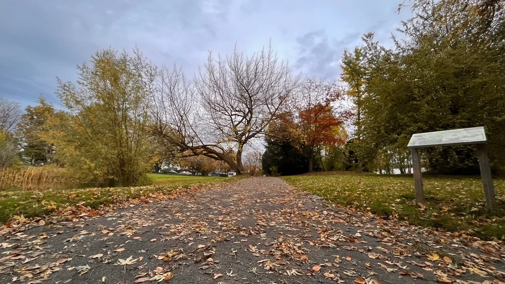 Dronfield