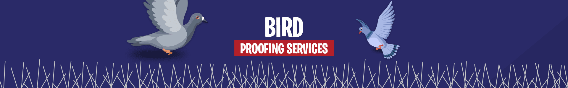 Bird Proofing