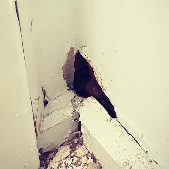 Entry hole made by mice