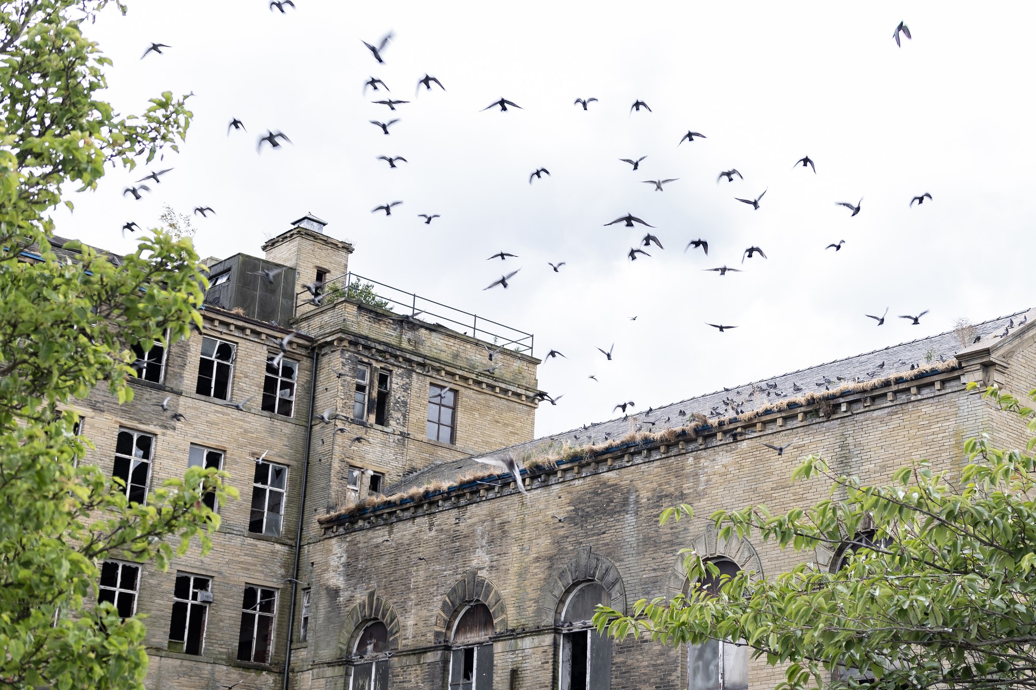 A commercial site with birds flying around it