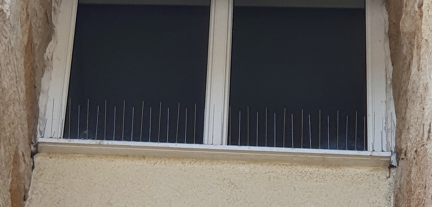 Bird spikes on a ledge