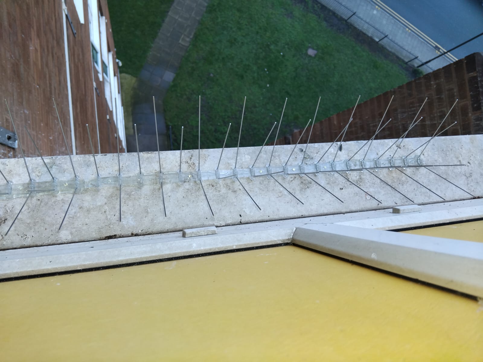 Bird control spikes