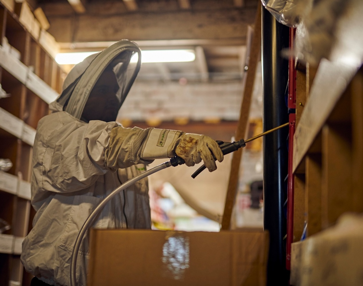 A pest controller in the middle of flea control