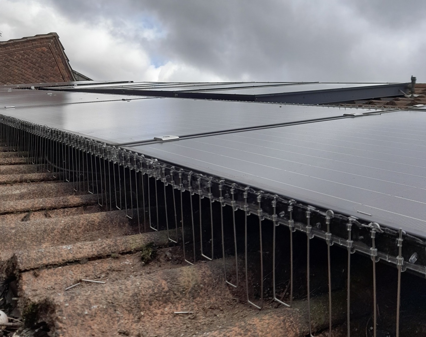Solar panel bird proofing