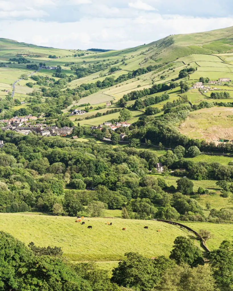 View of green fields